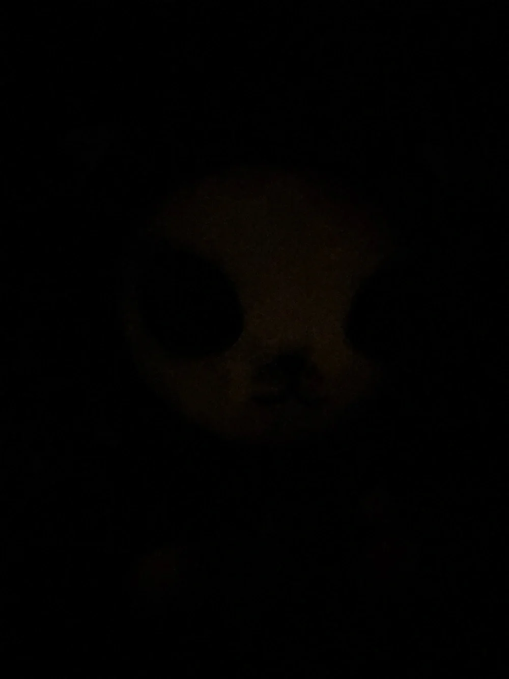 Galactic Emperor Bingus GITD Plush MAKESHIP STUFFED ANIMAL cat Rare Only 527 NWT